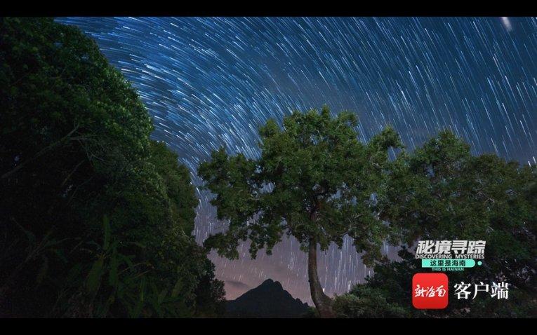 hahabet梦想
